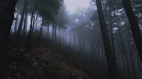Click to watch 'The Rendlesham Forest...' (popup) Historys Greatest Mysteries
